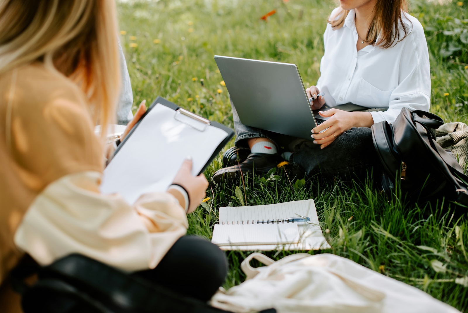 Students sitting on the grass outside studying